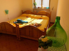 Vacation Apulia Properties - Magnolia apartment